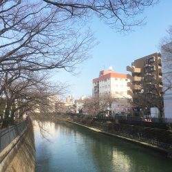 大岡川　2018桜祭り