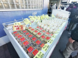 神奈川 中華まん 工場直売所