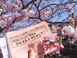 工場直売好井土ヶ谷店　開店13周年