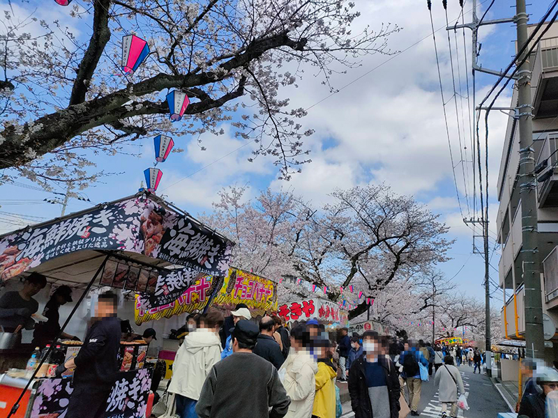 大岡川　桜まつり　