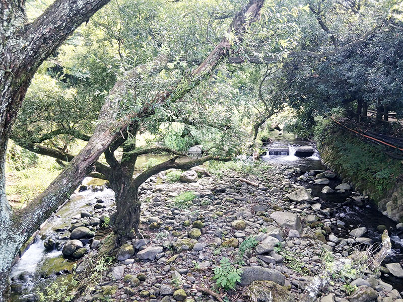 おすすめの箱根の日帰り温泉
